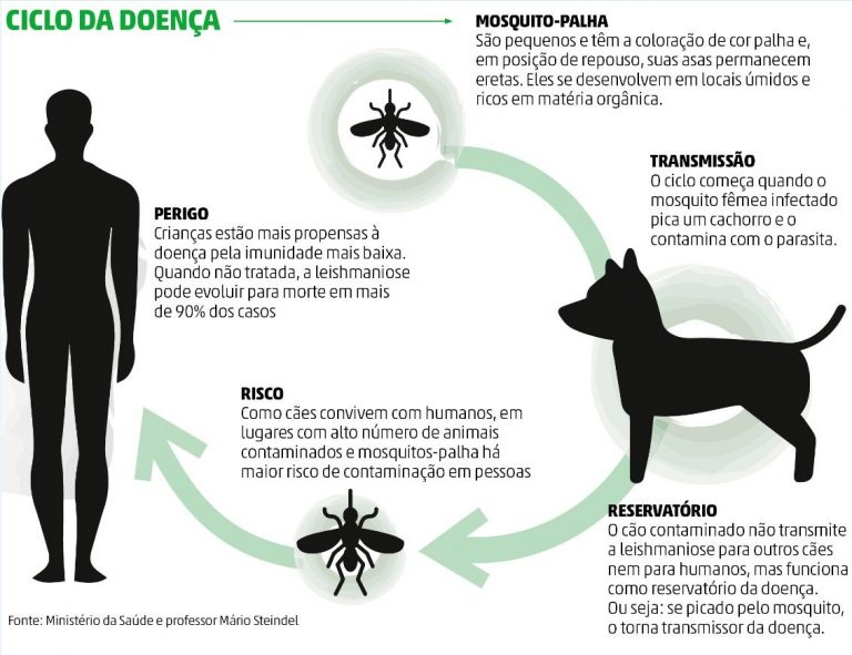 Leishmaniose Canina - docg.